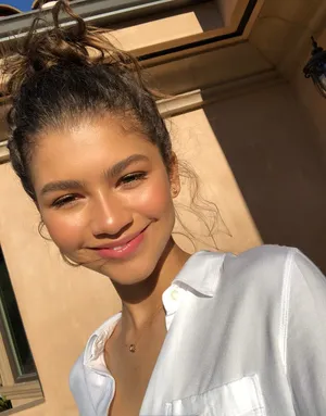Zendaya banner